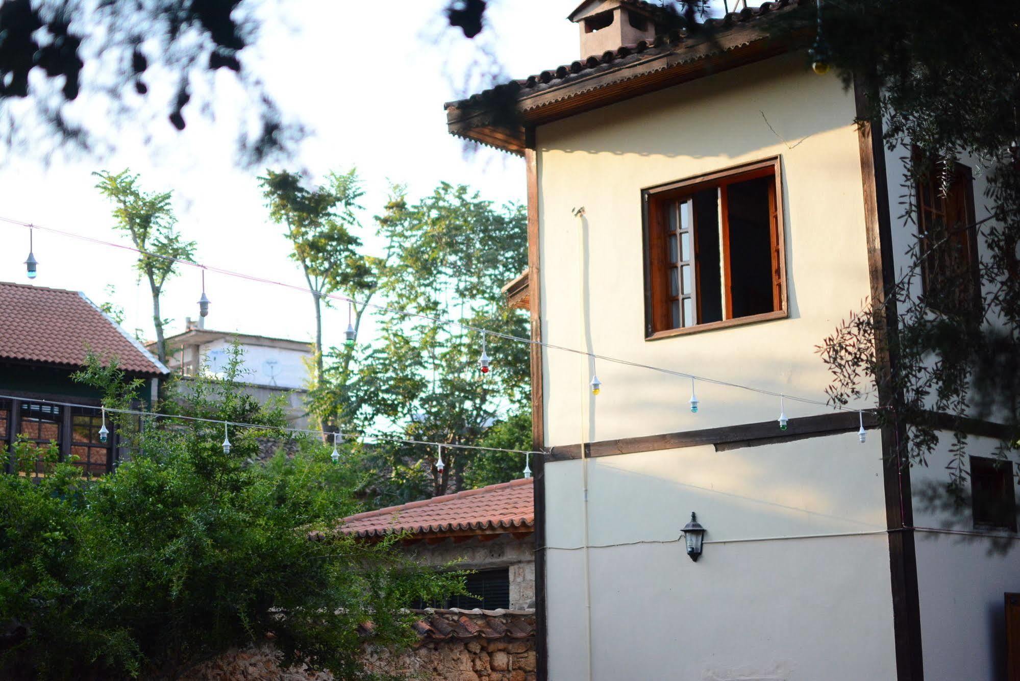 Otel Wood House 3*