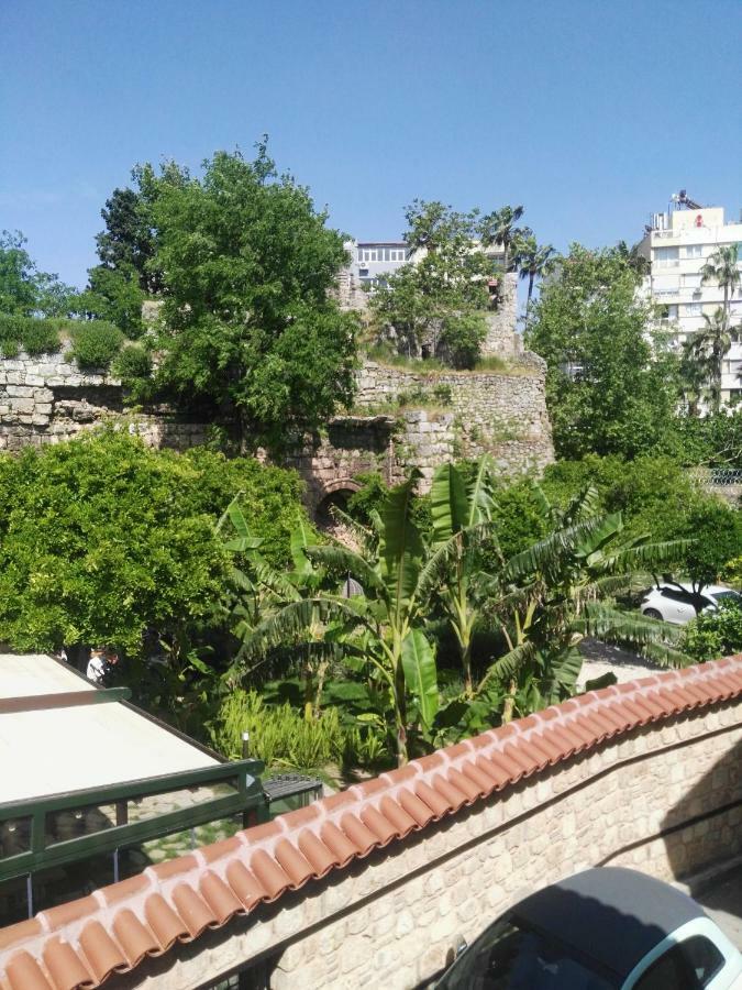 Wood House Otel 3*